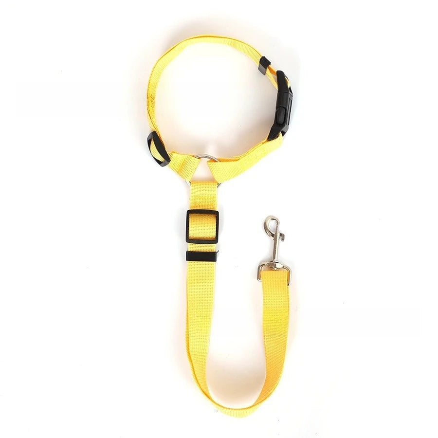 Adjustable Two-in-One Dog Car Seat Belt Leash - Smarsty