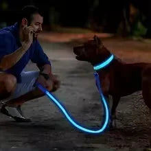 LED Glowing Dog Collar Adjustable Rechargeable Night Safety - Smarsty