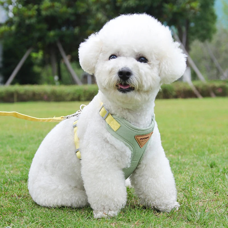 Puppy Harness Leash Set for Small Dogs - Smarsty