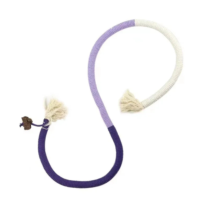 Interactive Cat Teaser Toy with Molar Rope Benefits - Smarsty