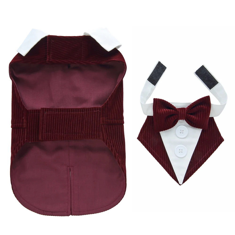 Formal Tuxedo Dog Costume for Weddings and Events - Smarsty