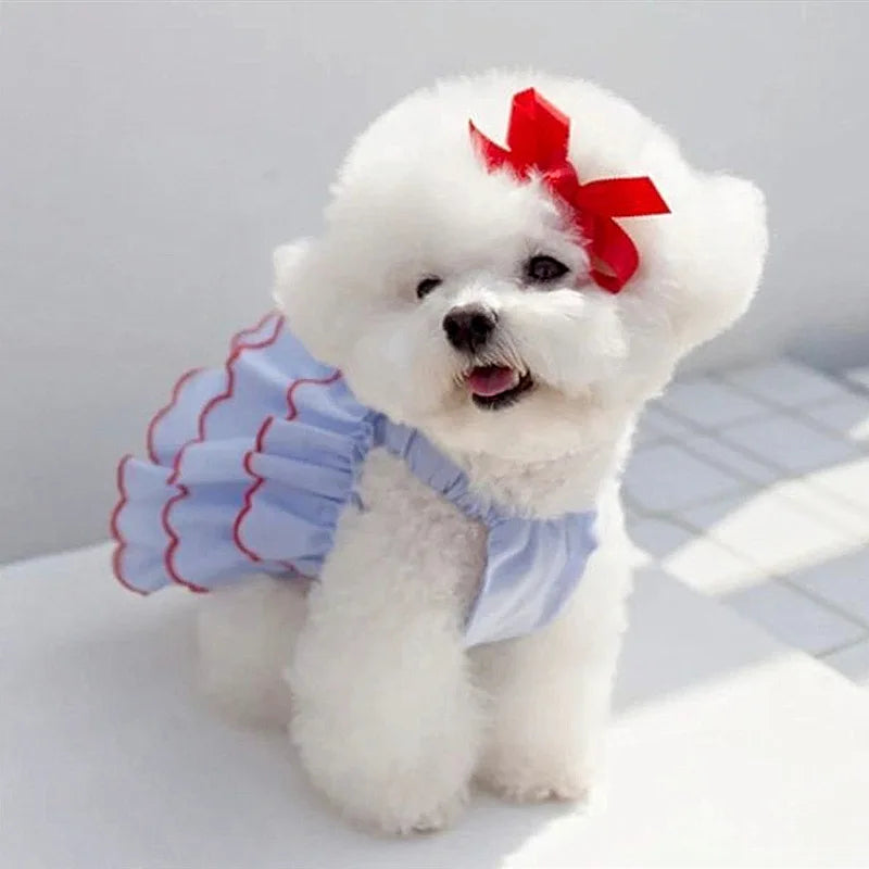 Cute Dog Summer Dress for Small Pets - Smarsty