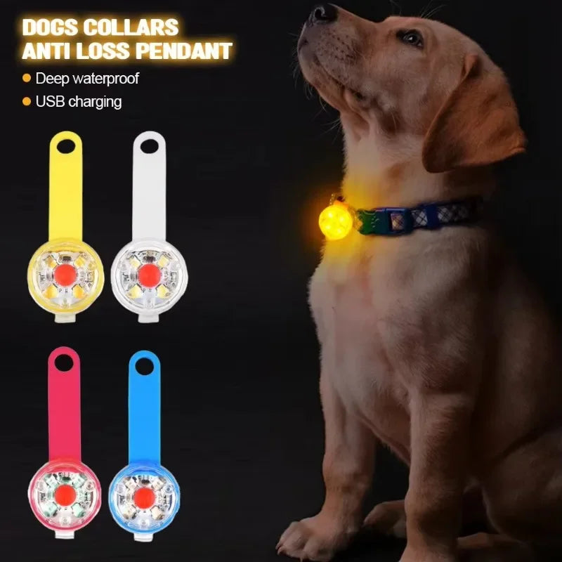 Weatherproof LED Dog Collar with USB Rechargeable Safety Light - Smarsty