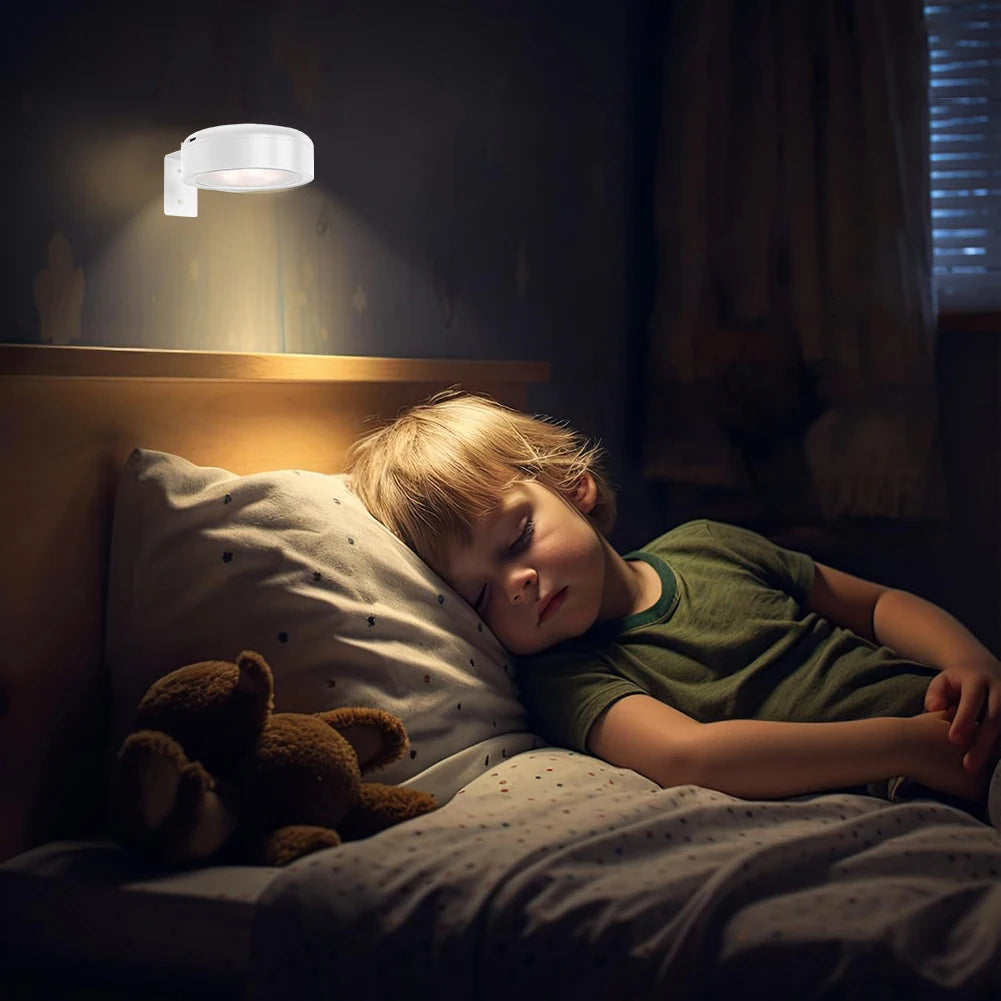 2/3pc Rechargeable Picture Light Magnetic LED Painting Light with Remote and Timer Art Display Light Dimmable 3 Lighting Modes