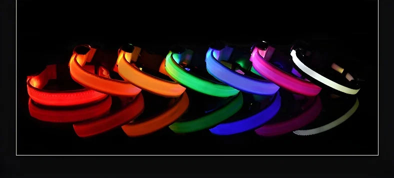 LED Nylon Dog Collar for Night Safety and Visibility - Smarsty