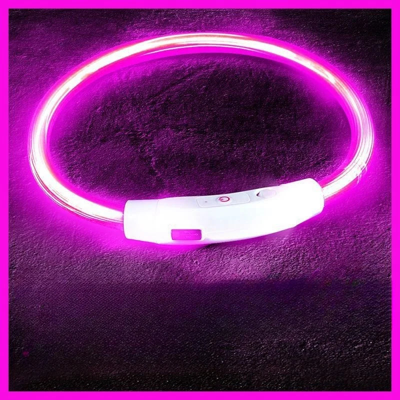 USB Rechargeable LED Dog Collar for Night Safety - Smarsty