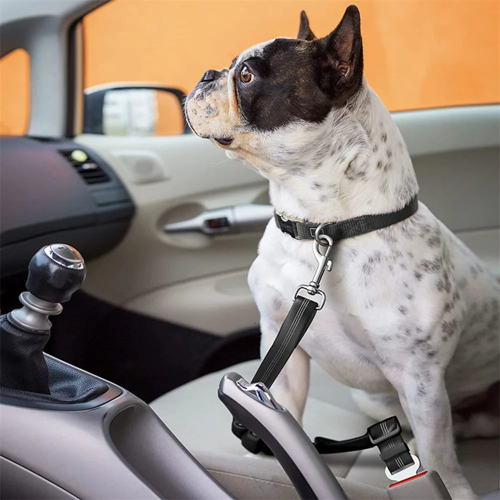 Adjustable Dog Car Seat Belt Harness with Reflective Cushioning - Smarsty