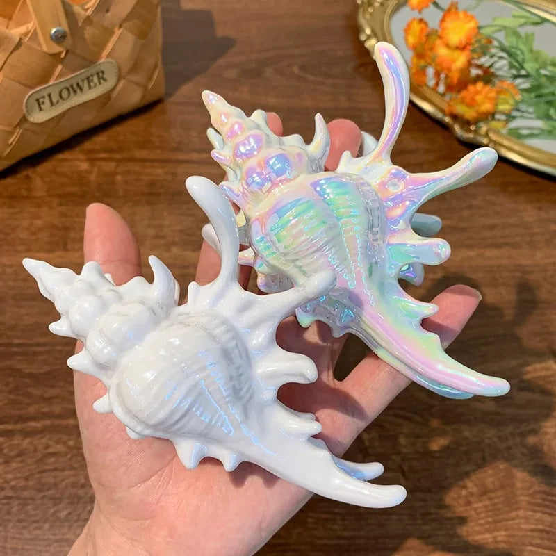 Acrylic Shark Claw Hair Clip Shell Beach Accessories - Smarsty