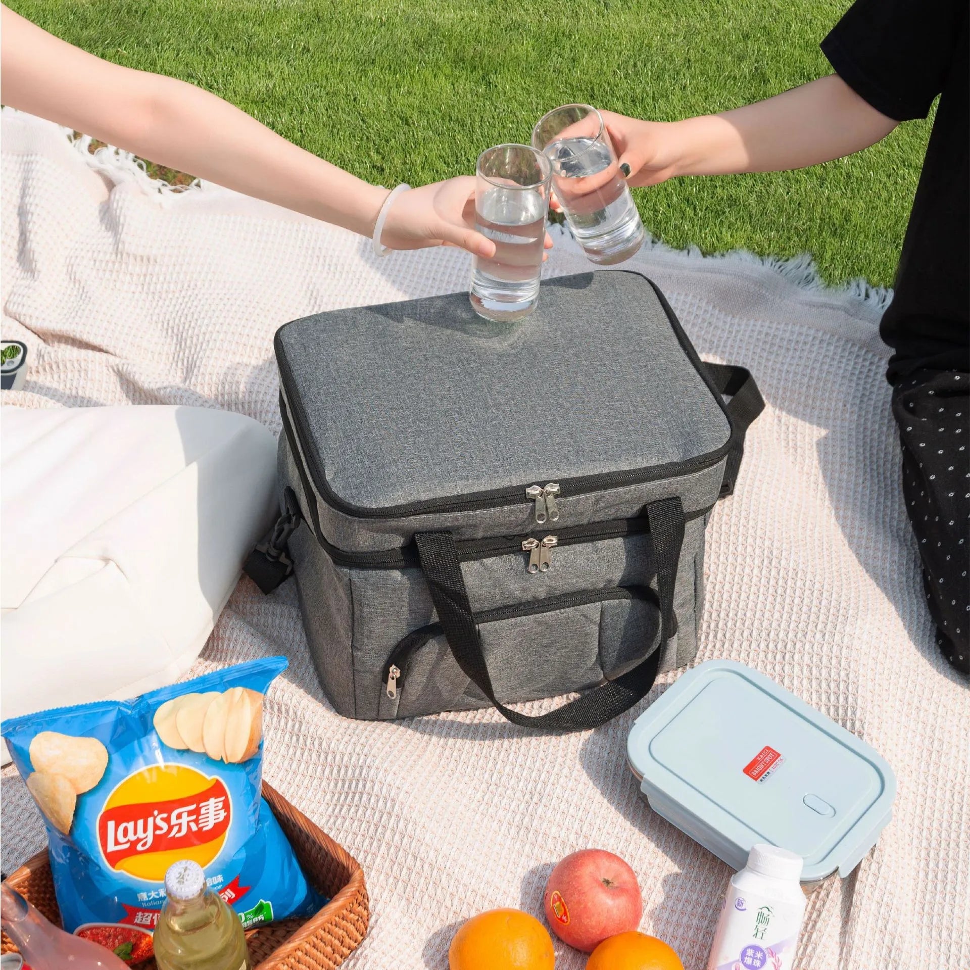 Double Insulated Lunch Bag With Adjustable Strap For Picnics - Smarsty