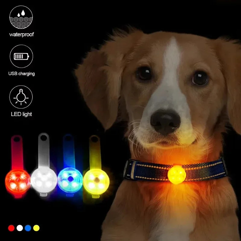 Weatherproof LED Dog Collar with USB Rechargeable Safety Light - Smarsty