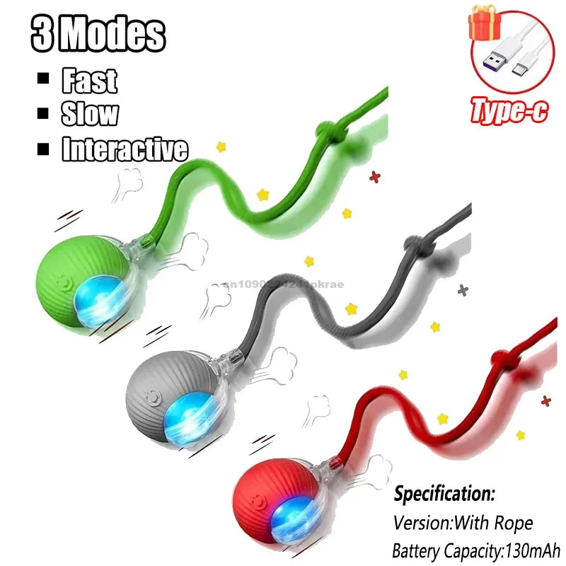 Automatic Rolling Cat Ball Toy with Rechargeable Faux Tail - Smarsty