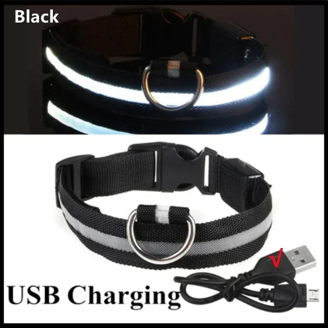 LED Glowing Dog Collar Adjustable Rechargeable Night Safety - Smarsty