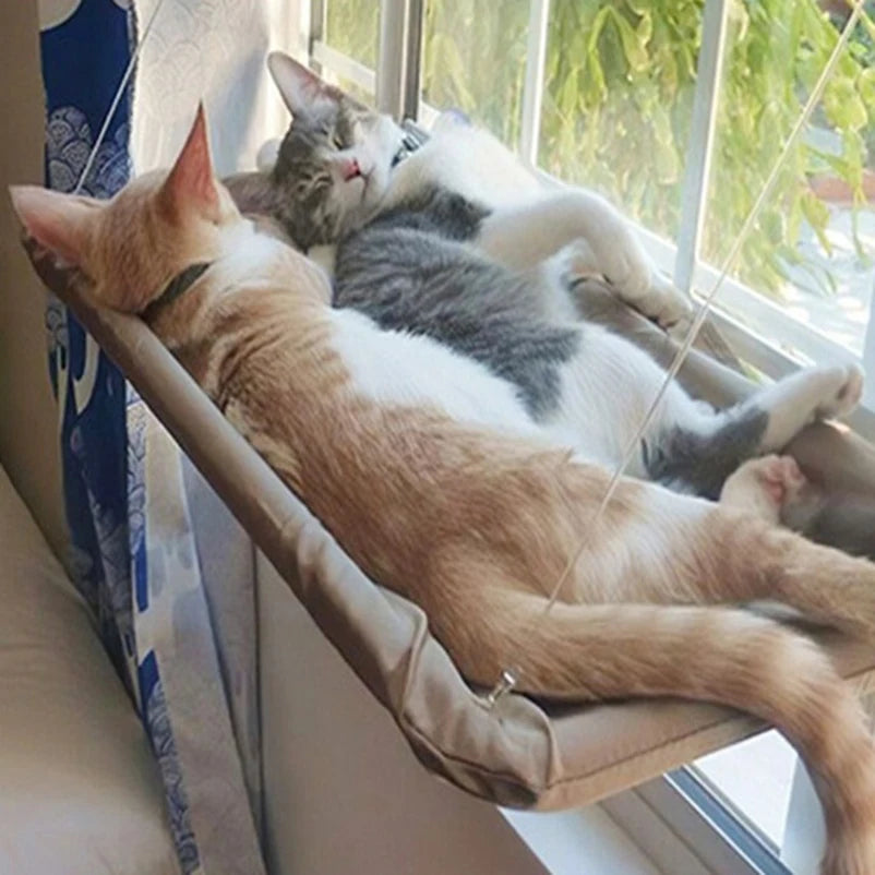 Comfortable Cat Hammock Bed for Sunny Window - Smarsty