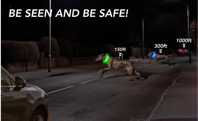 USB Charging Bright LED Dog Collar for Night Safety - Smarsty