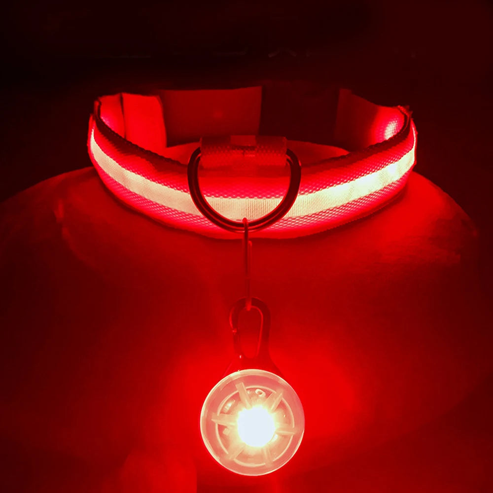 USB Charging Bright LED Dog Collar for Night Safety - Smarsty
