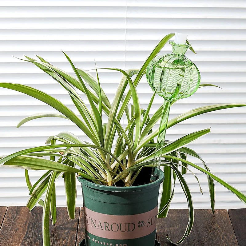 Glass Automatic Plant Watering Bulbs for Easy Irrigation - Smarsty
