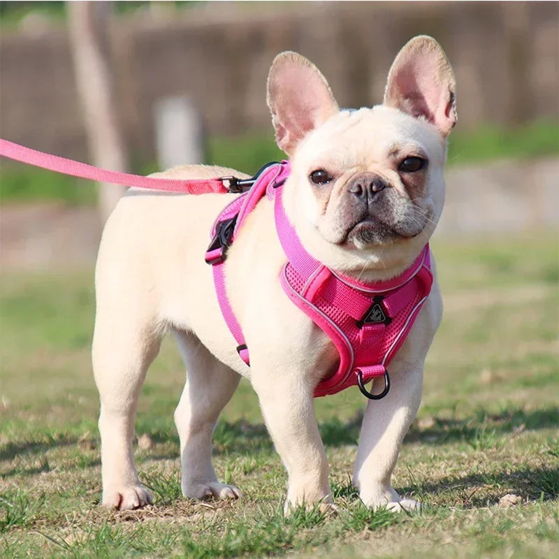 No Pull Adjustable Dog Harness and Leash Set - Smarsty