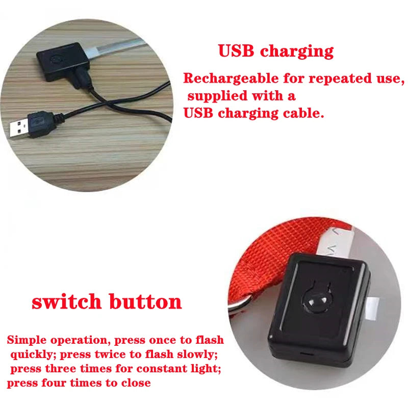 USB Charging Bright LED Dog Collar for Night Safety - Smarsty