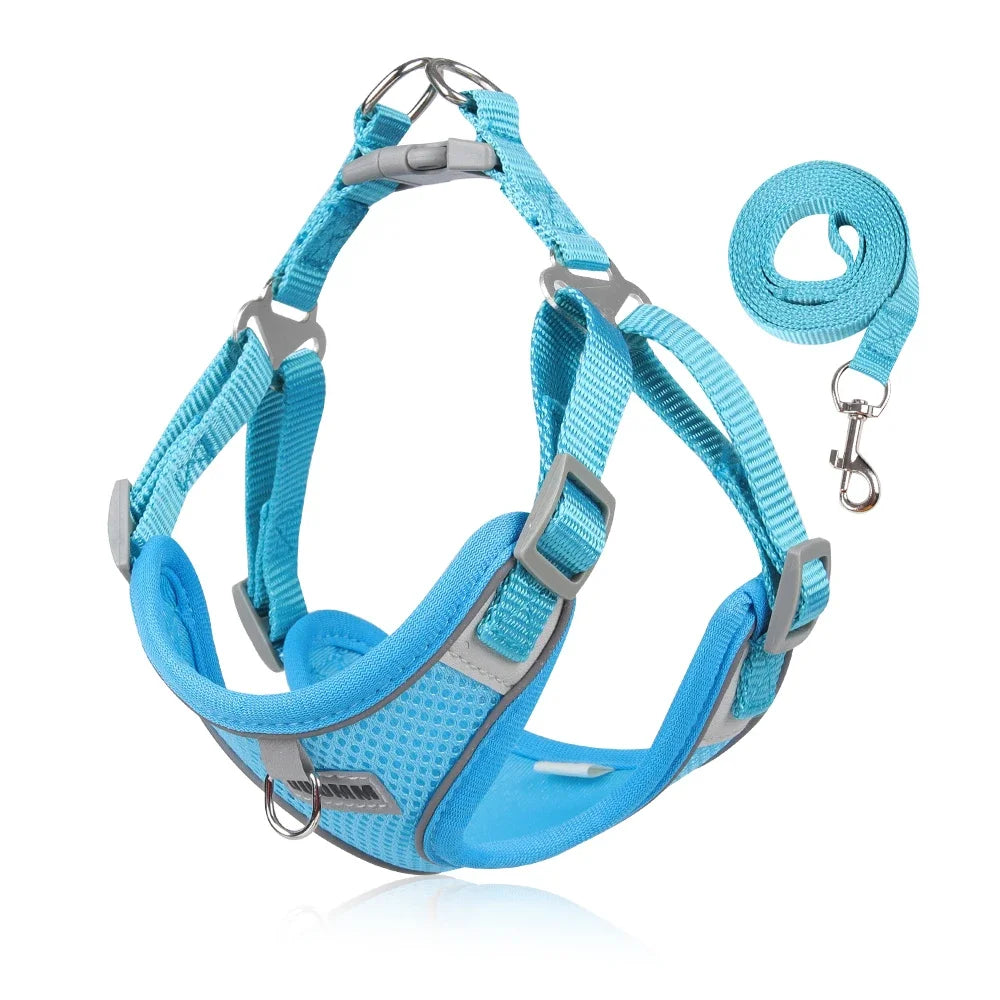 Reflective Dog Harness Leash Set for Outdoor Safety - Smarsty