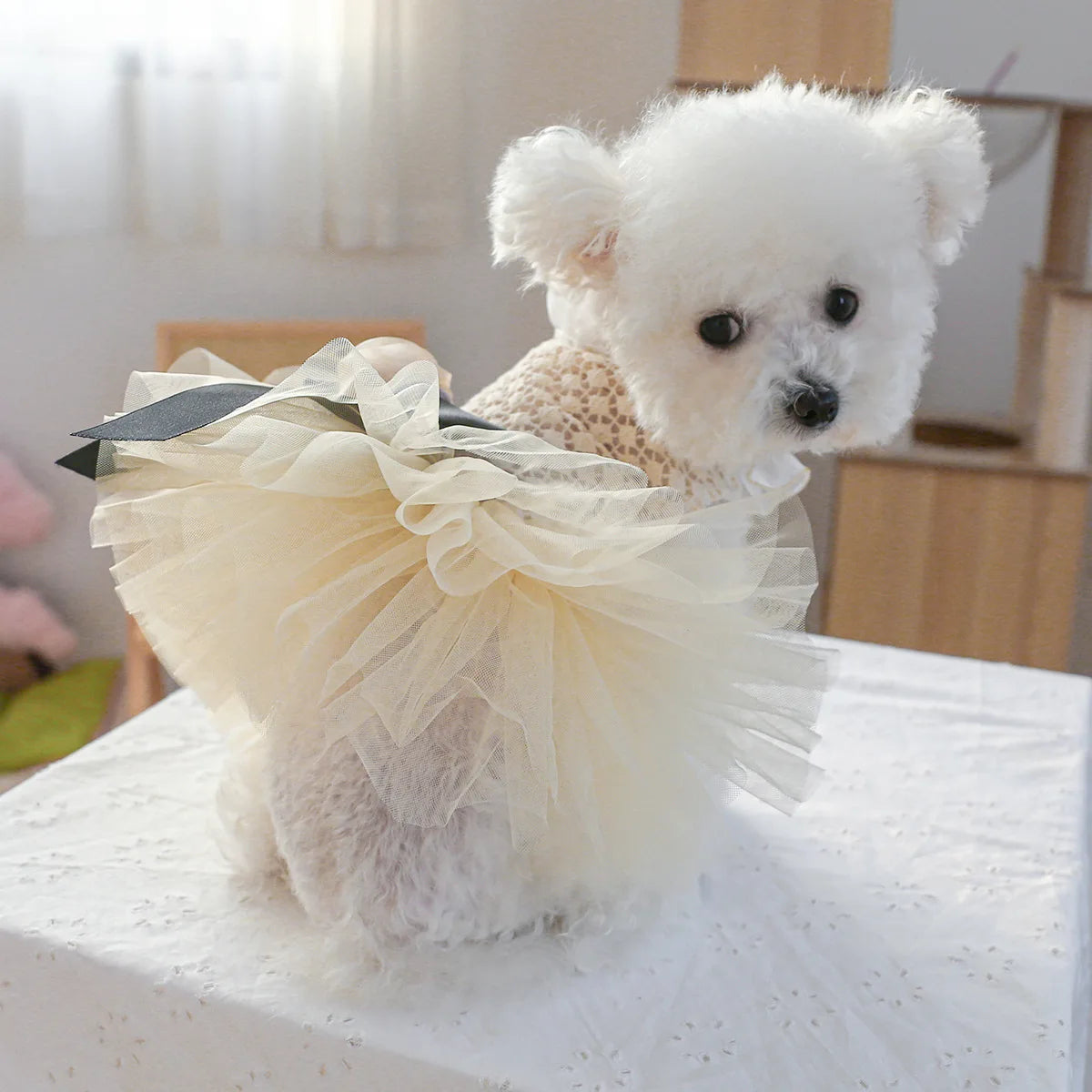 Luxury Kawaii Dog Dress with Pearl Collar for Small Pets - Smarsty