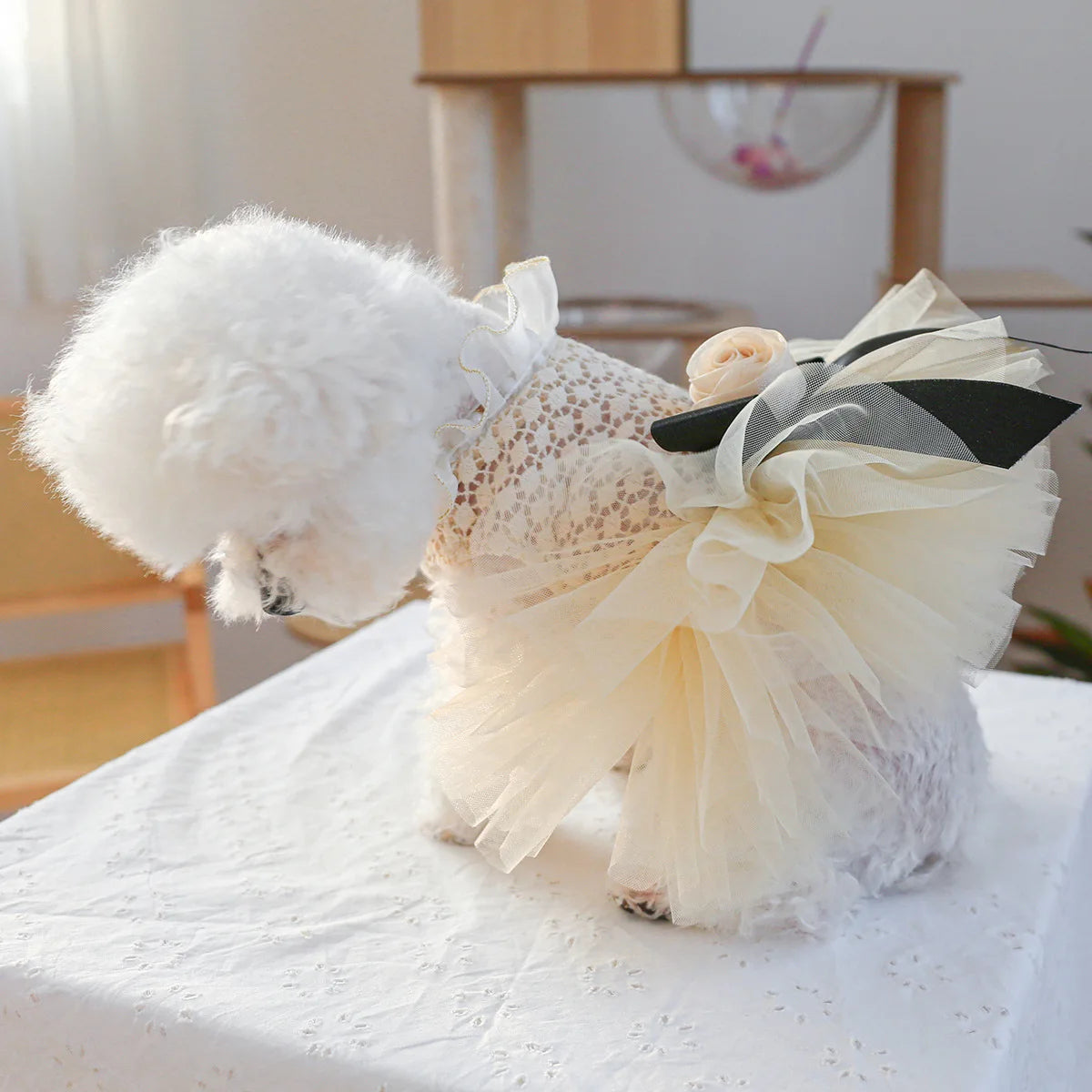 Luxury Kawaii Dog Dress with Pearl Collar for Small Pets - Smarsty