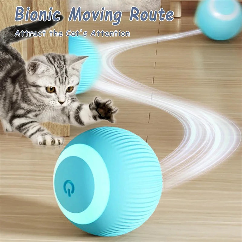 Interactive Smart Dog Toy Ball For Active Play - Smarsty