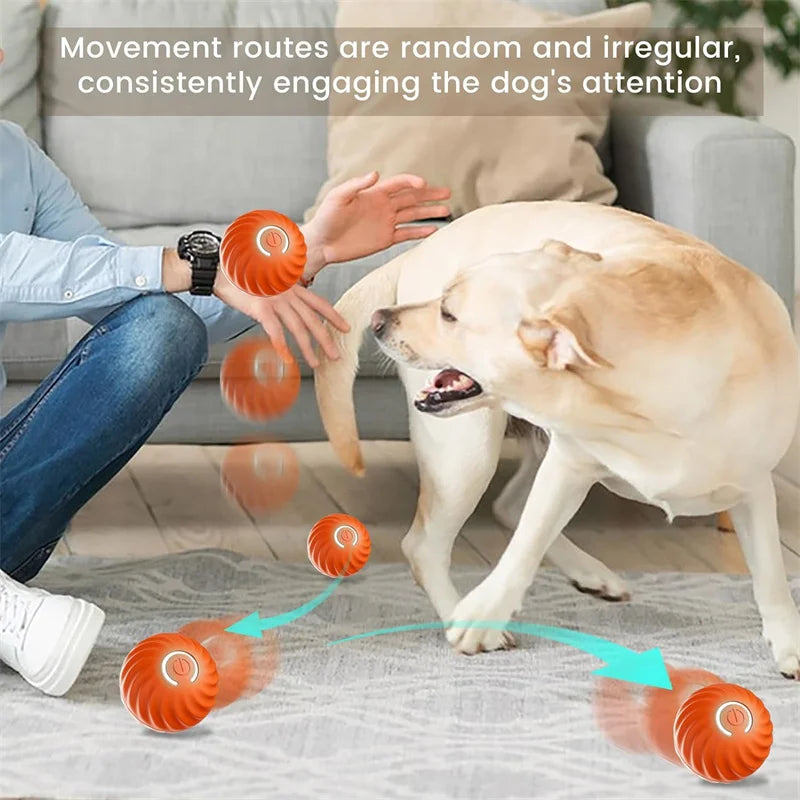 Interactive Smart Dog Toy Ball For Active Play - Smarsty