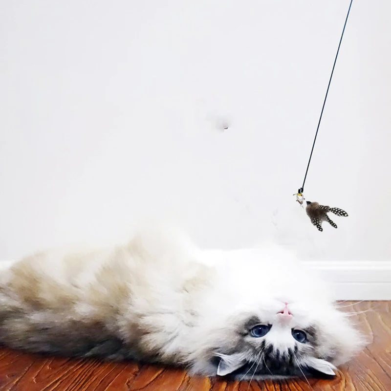 Cat Teaser Stick With Bell and Feather Fun - Smarsty
