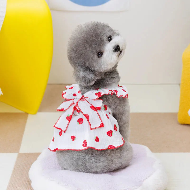 Luxury Dog Strawberry Dress for Summer Style - Smarsty