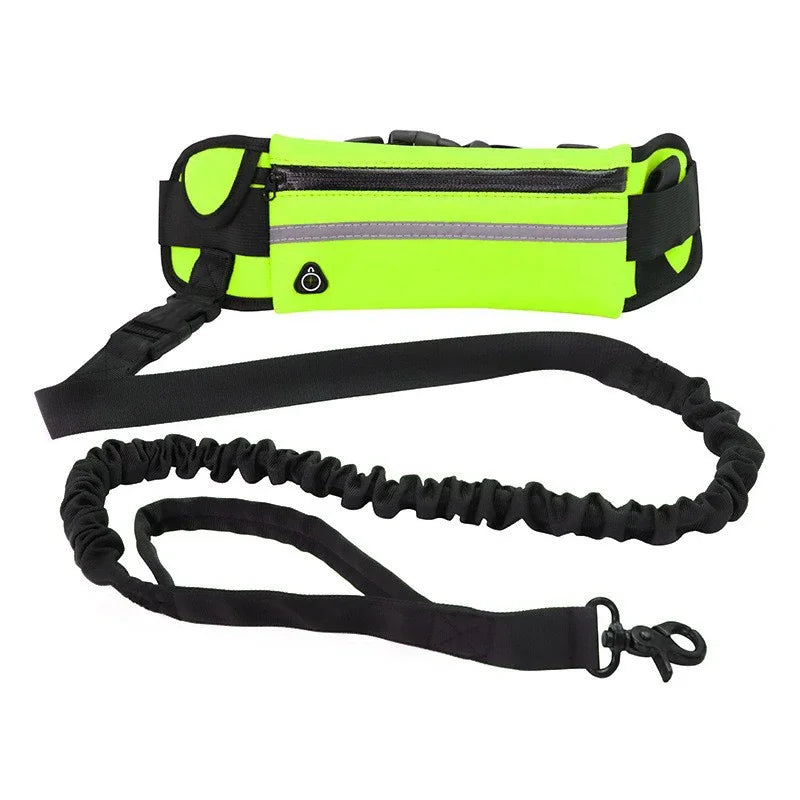 Hands Free Dog Leash with Reflective Elastic Belt - Smarsty