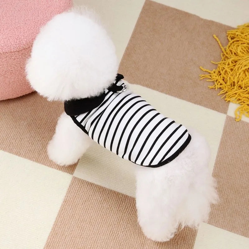 Luxury Dog Dress With Bow Lace For Summer - Smarsty