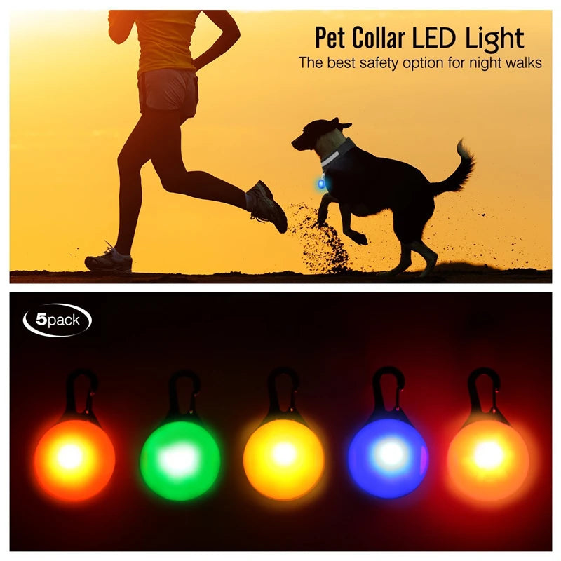 USB Charging Bright LED Dog Collar for Night Safety - Smarsty