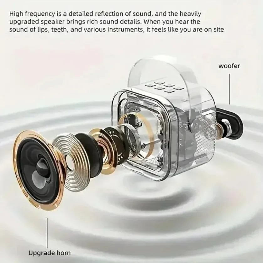 XIKCU Portable Karaoke Machine With Dual Microphones - Smarsty