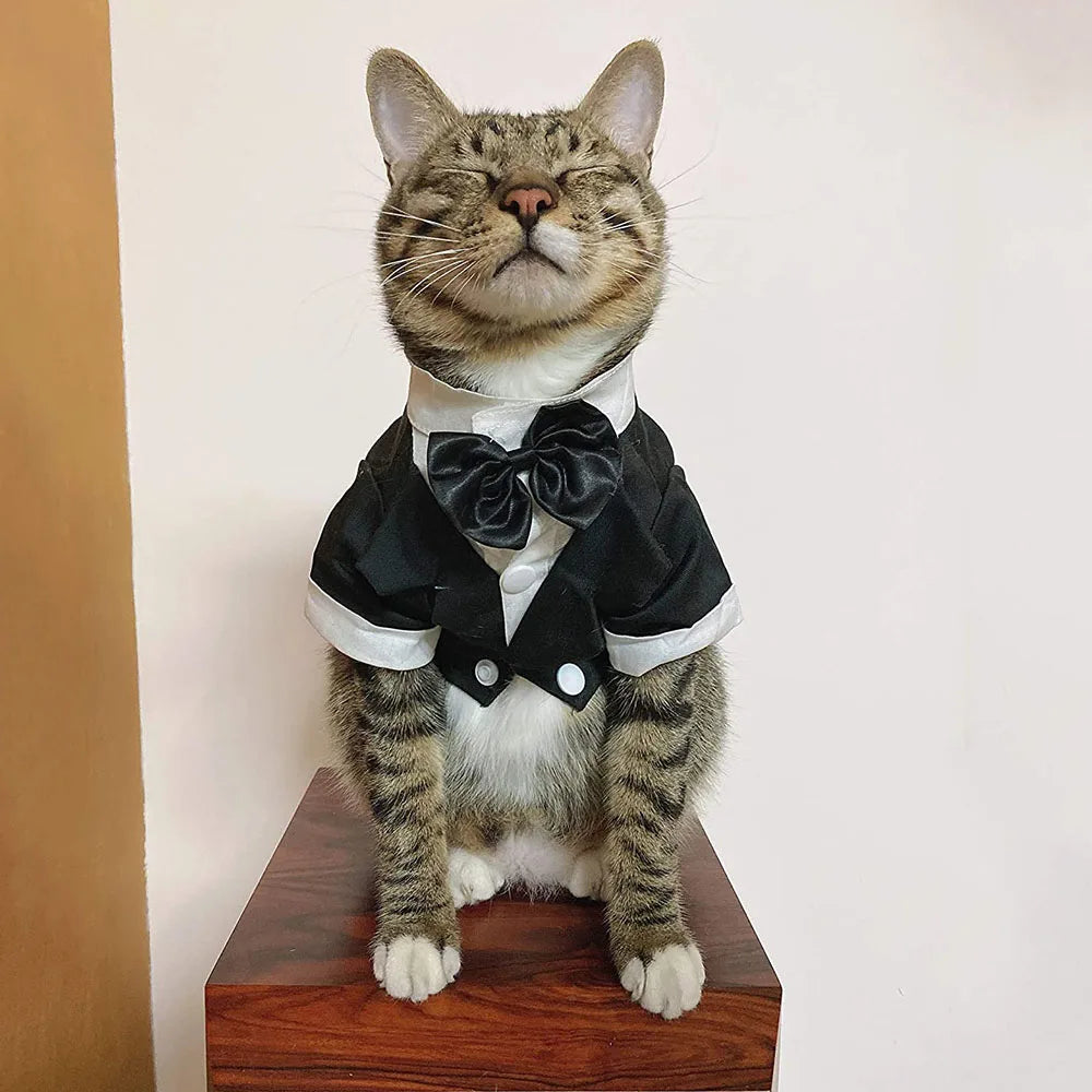 Elegant Dog Tuxedo Suit for Weddings and Parties - Smarsty