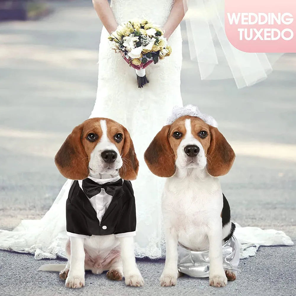 Elegant Dog Tuxedo Suit for Weddings and Parties - Smarsty