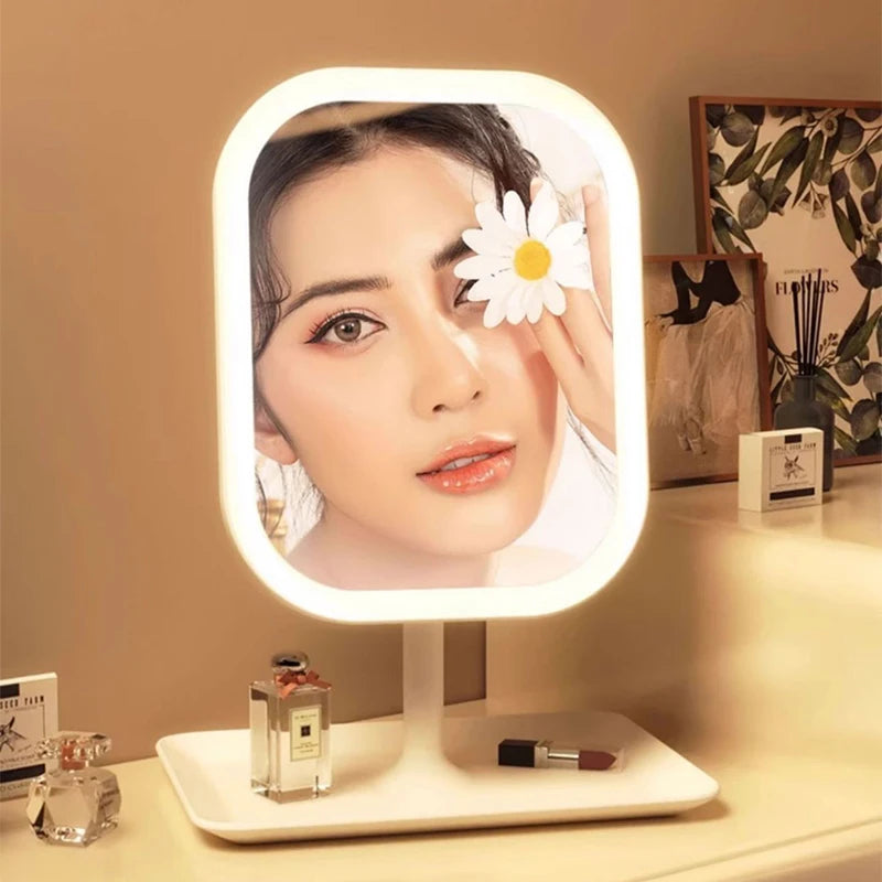 Niche Modern LED Makeup Mirror with Three Color Light - Smarsty