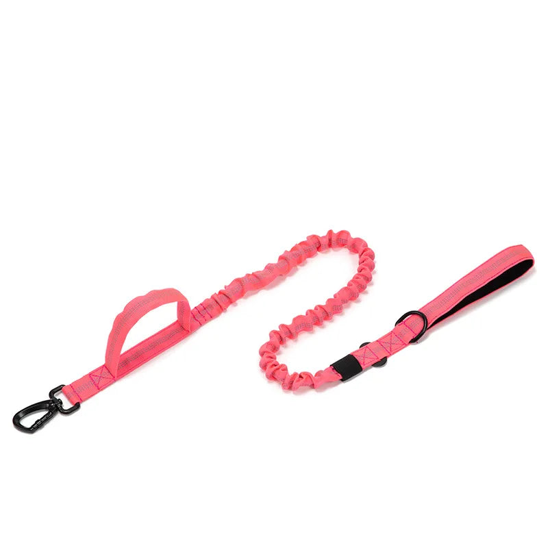 Durable Reflective Nylon Dog Collar and Leash Set - Smarsty
