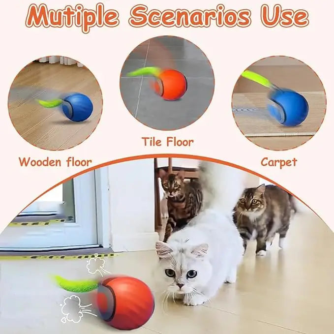 Interactive Electric Rolling Cat Ball Toy Rechargeable Fun - Smarsty