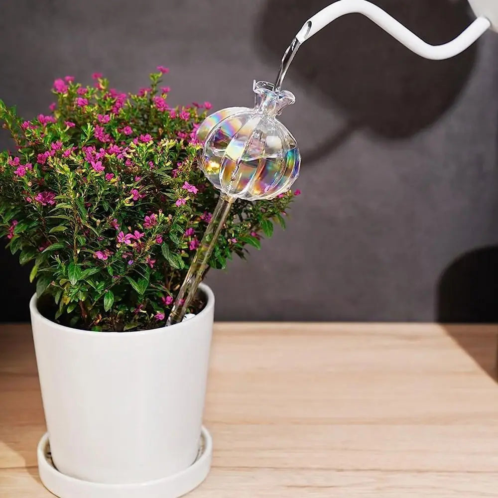 Automatic Cactus Self Watering Planter Cactus Glass Automatic Plant Watering Bulbs Cute Plant Water Feeder Glass Bulbs Indoor