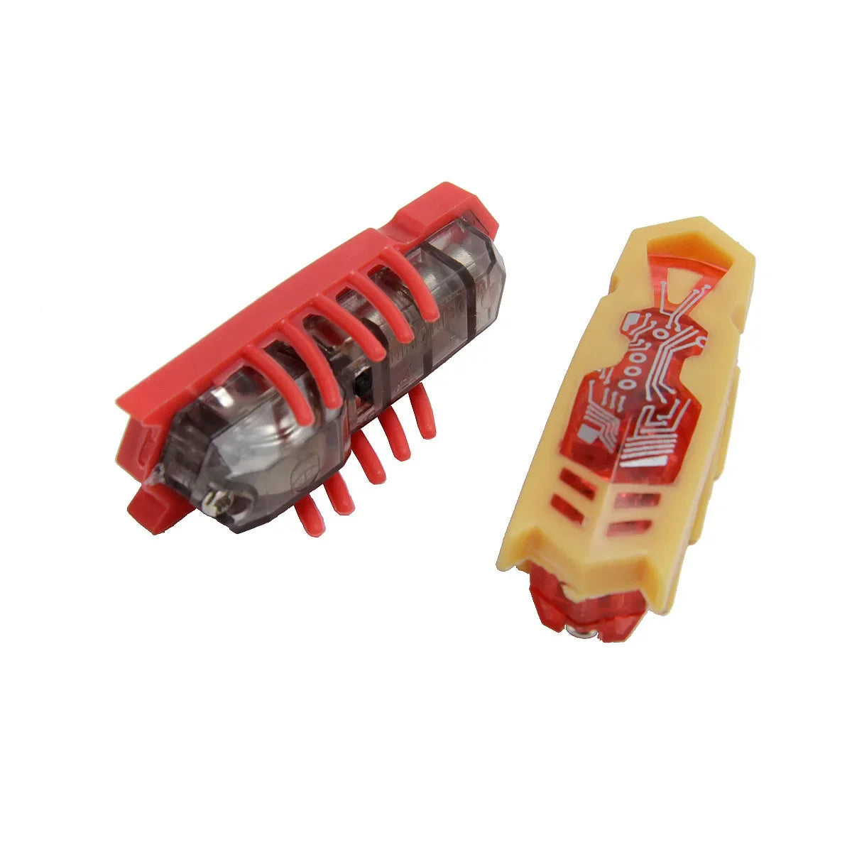 Funny Electric Catnip Bug Toy with Automatic Tunnel - Smarsty