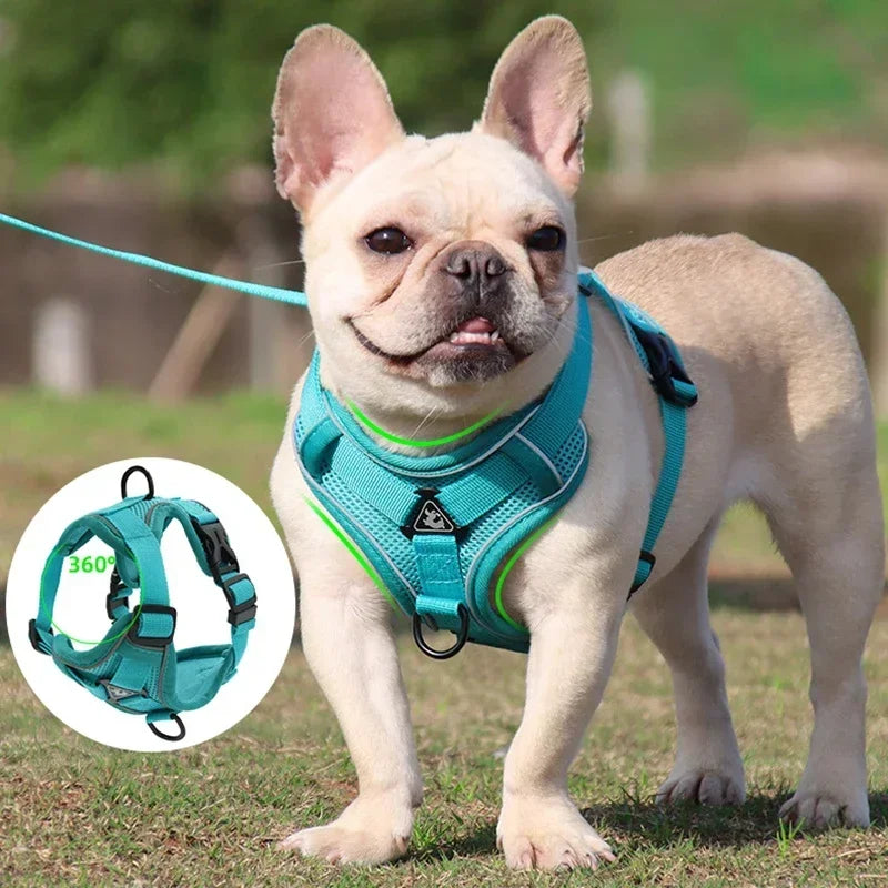 No Pull Adjustable Dog Harness and Leash Set - Smarsty
