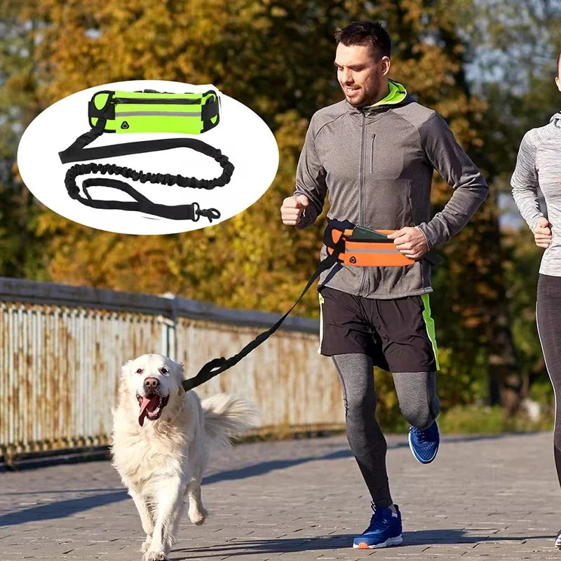 Hands Free Dog Leash with Reflective Elastic Belt - Smarsty