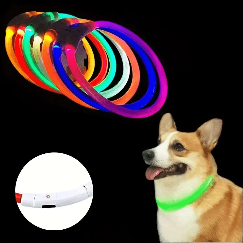 USB Rechargeable LED Dog Collar for Safety - Smarsty