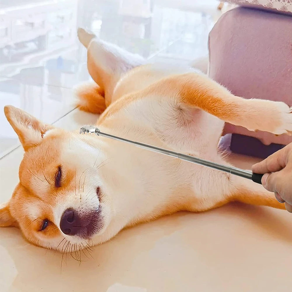 Telescopic Back Scratcher Massager Kit for Itch Relief - Smarsty