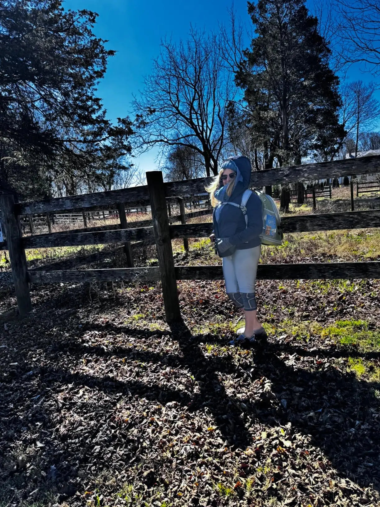 Transparent Folding Pet Carrier Backpack for Travel - Smarsty