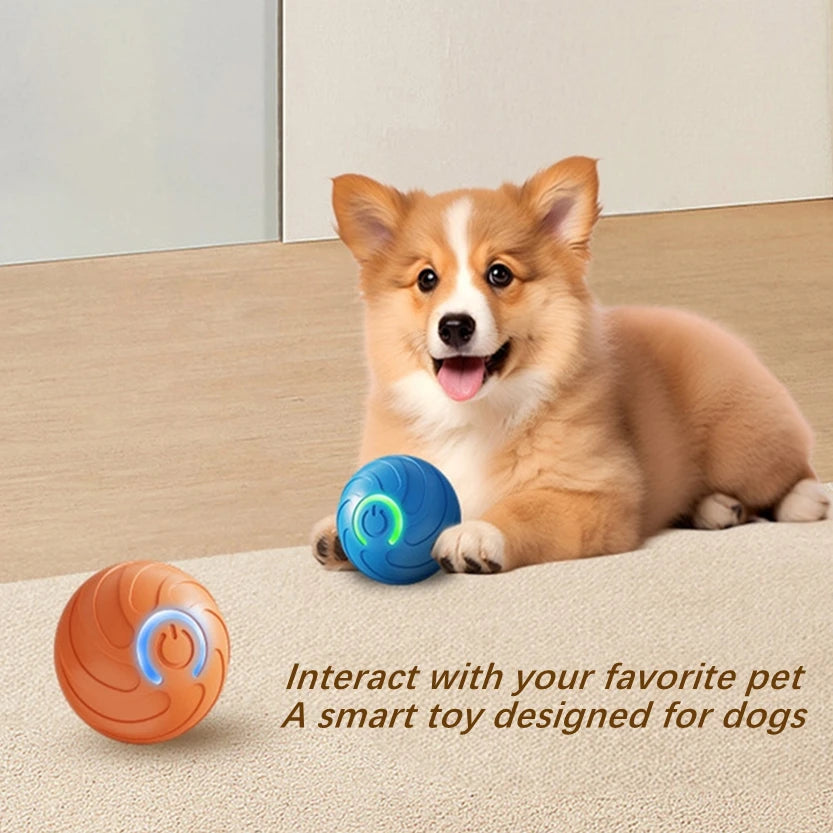 Interactive Smart Dog Toy Ball for Active Play - Smarsty