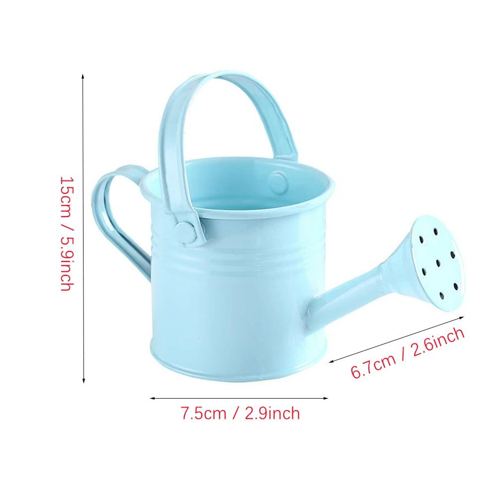 Metal Watering Can with Large Capacity for Easy Plant Care - Smarsty