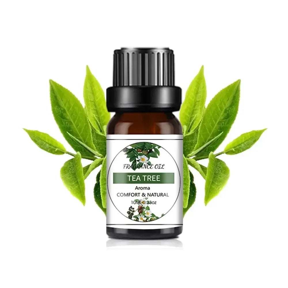10Ml Essential Oil Fruit Flavor Natural Plant Making Diffuser Essential Oil Mango Pineapple Flavoring Oil for DIY Soap Candles - Smarsty