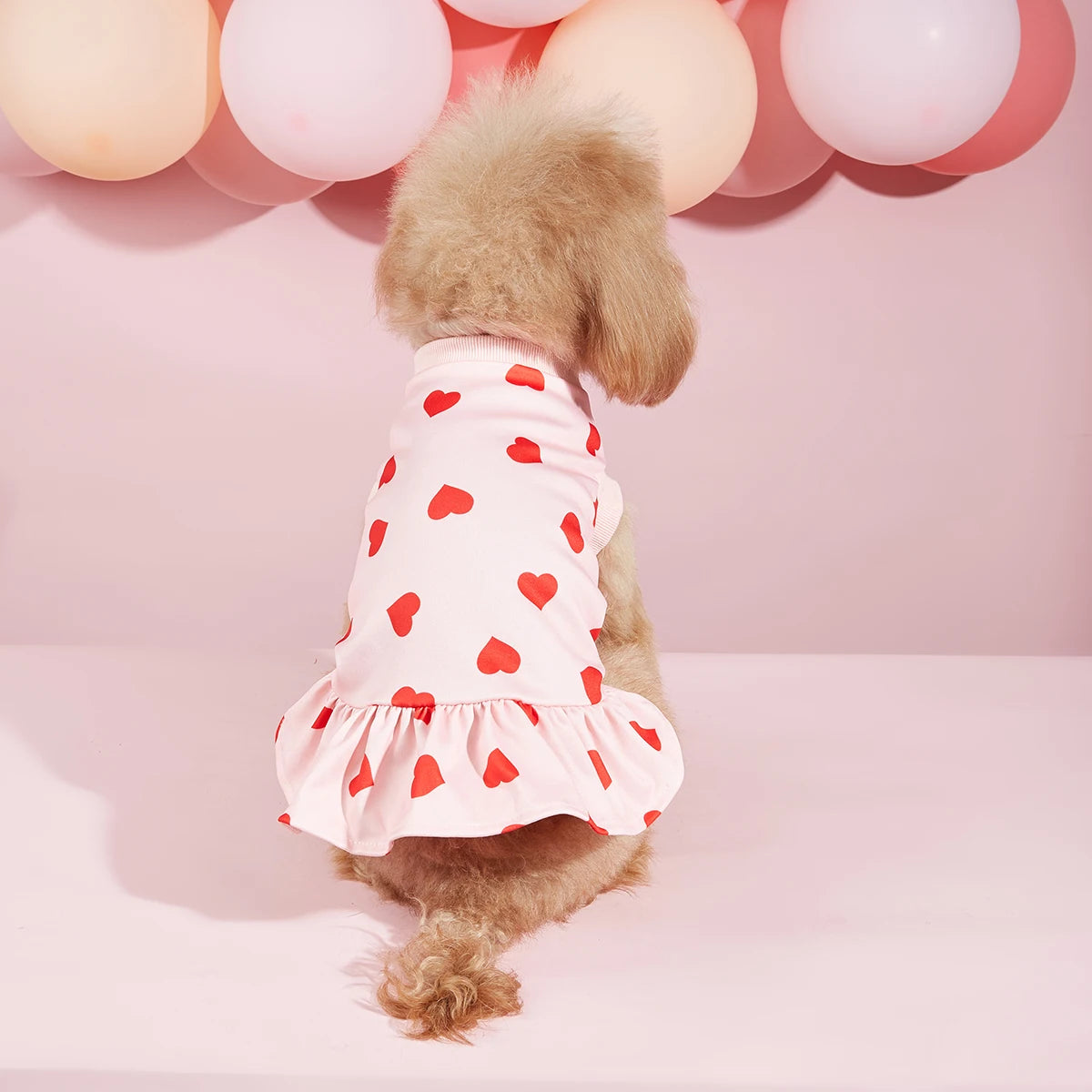 Valentines Day Dog Sweater Dress with Heart Pattern - Smarsty
