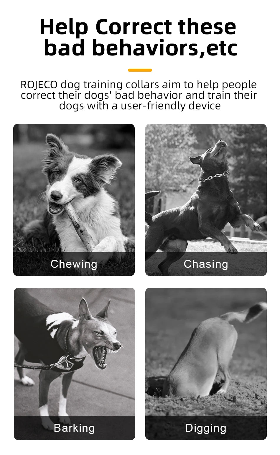 ROJECO Rechargeable Waterproof Dog Training Collar - Smarsty